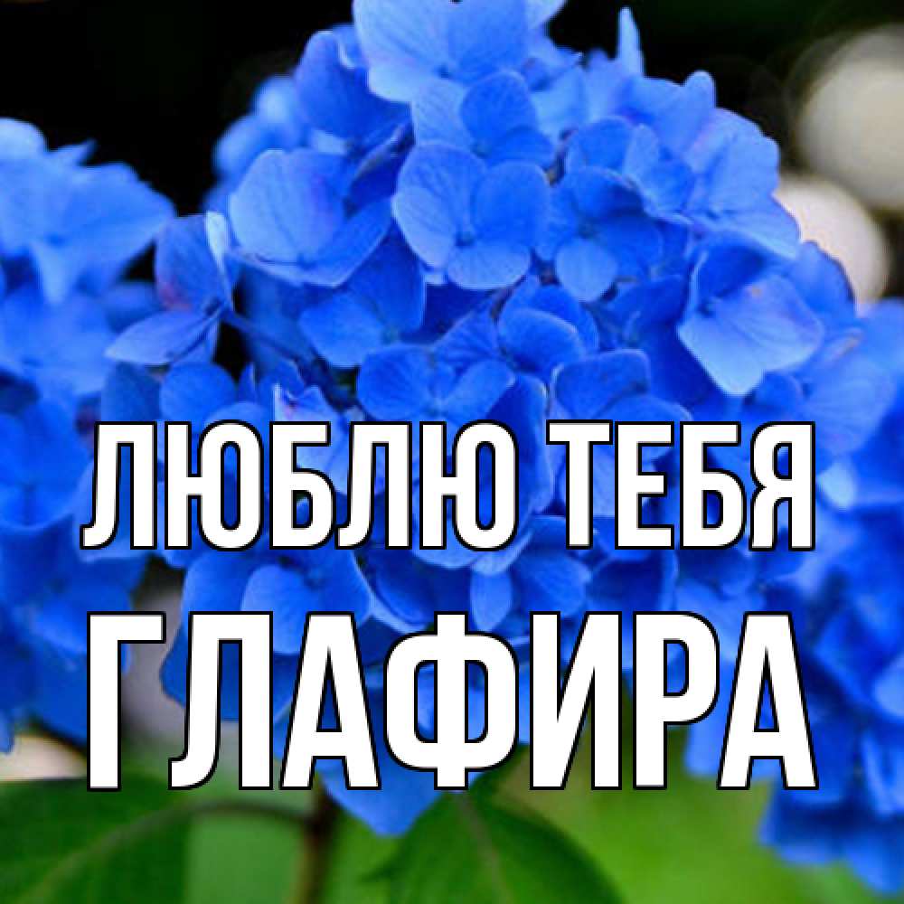 Открытка на каждый день с именем, Глафира Люблю тебя синие цветы Прикольная открытка с пожеланием онлайн скачать бесплатно 