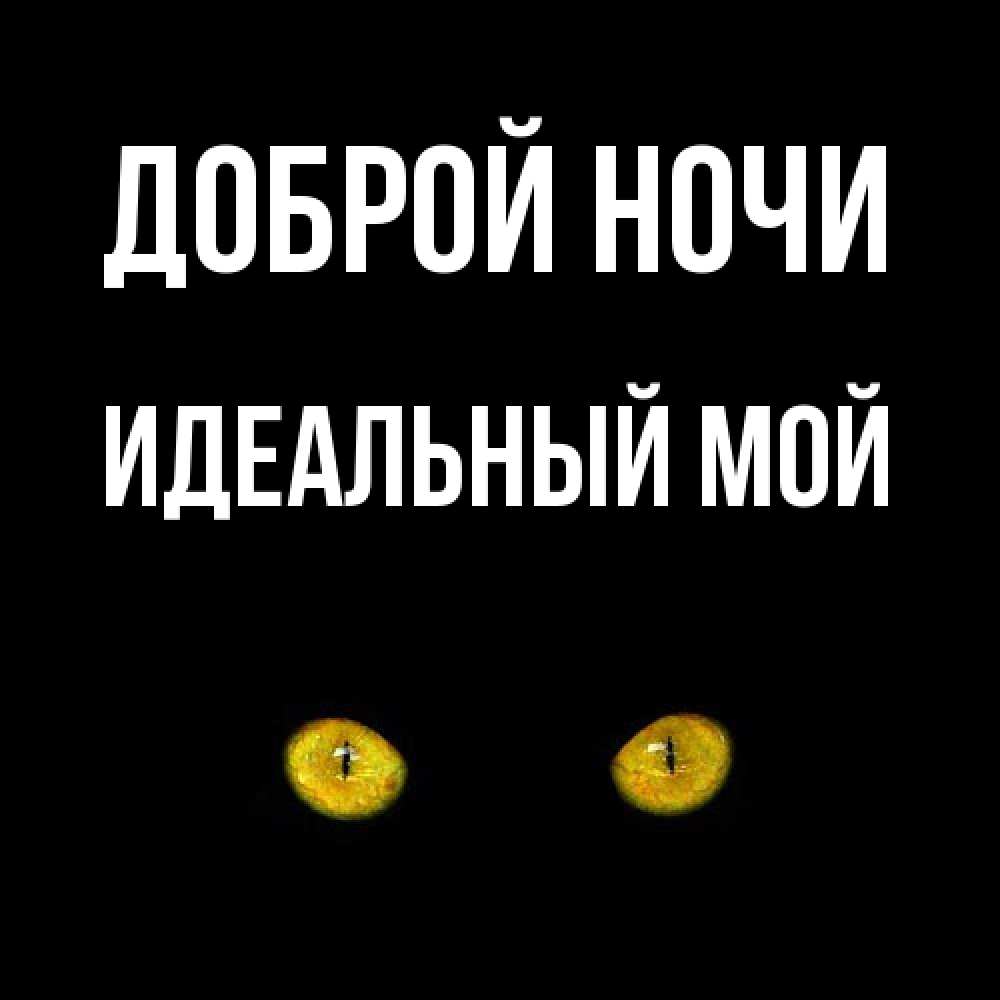 Открытка на каждый день с именем, Идеальный-мой Доброй ночи сладких снов бесстрашный мой дружочек Прикольная открытка с пожеланием онлайн скачать бесплатно 