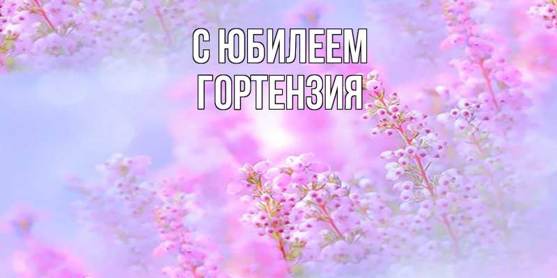 Картинка C юбилеем, Гортензия
