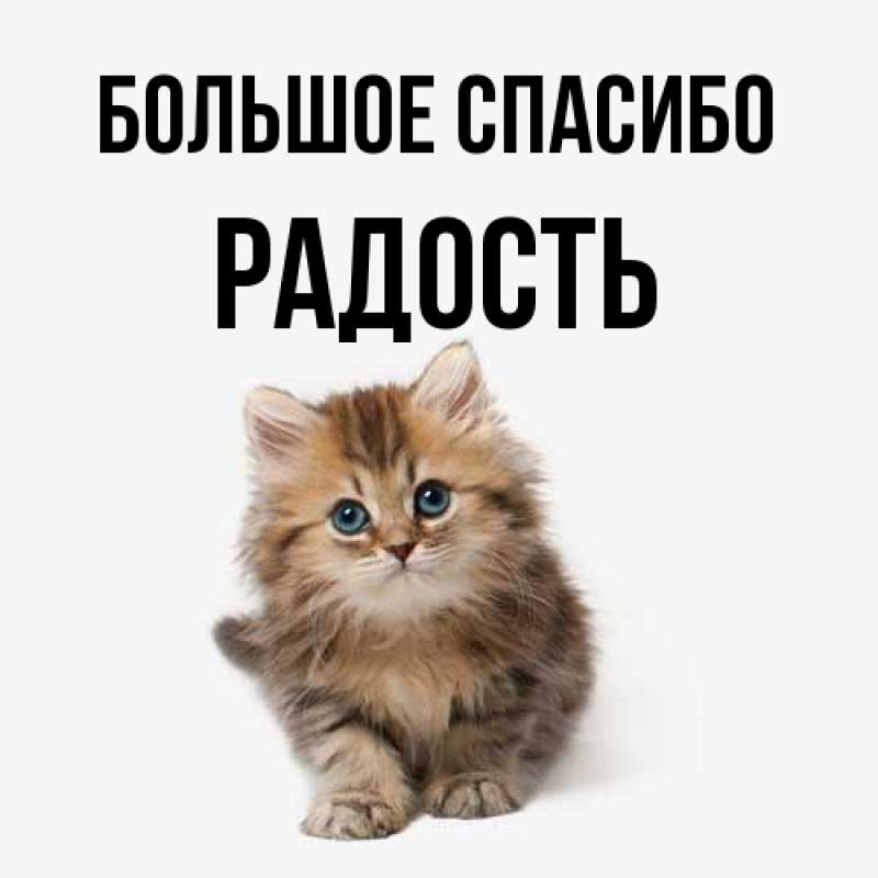Картинка Большое спасибо, Радость