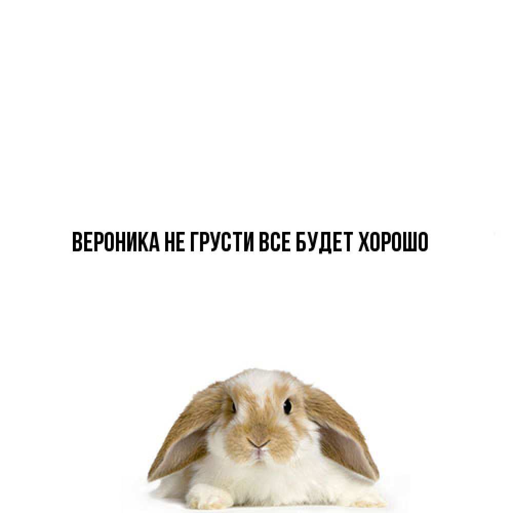 Открытка на каждый день с именем, Вероника Не грусти все будет хорошо коричнево белый заяц с большими ушками Прикольная открытка с пожеланием онлайн скачать бесплатно 