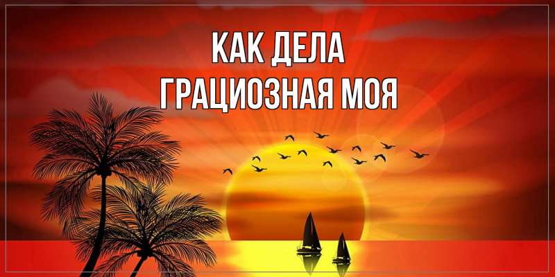 Картинка Как дела, Грациозная моя