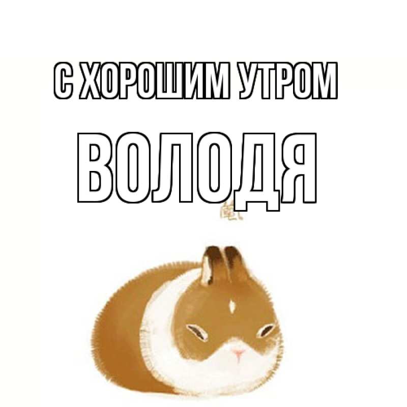 Картинка С хорошим утром, Володя