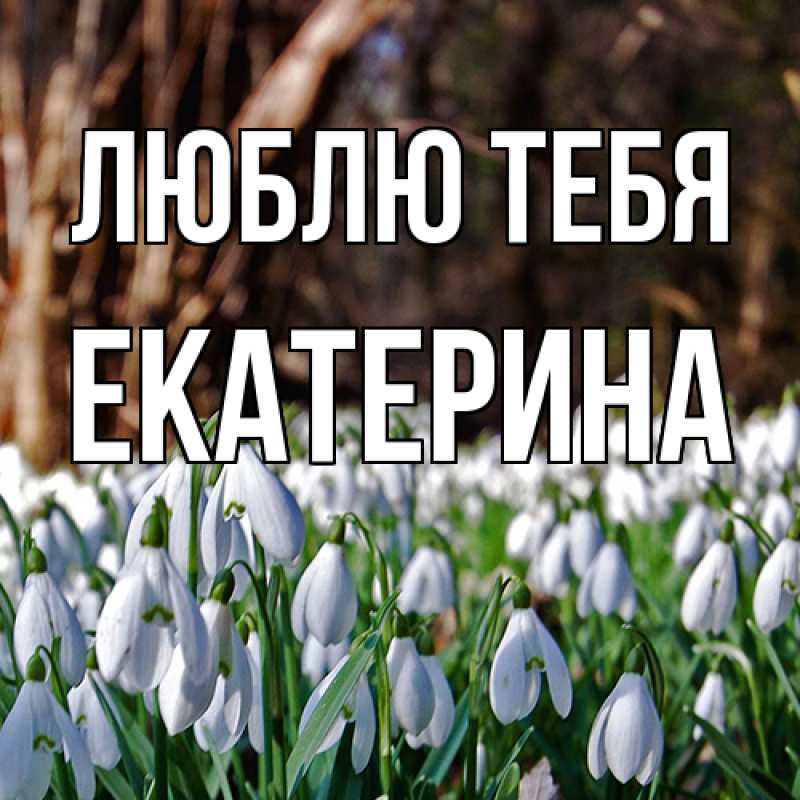 Картинка Люблю тебя, Екатерина