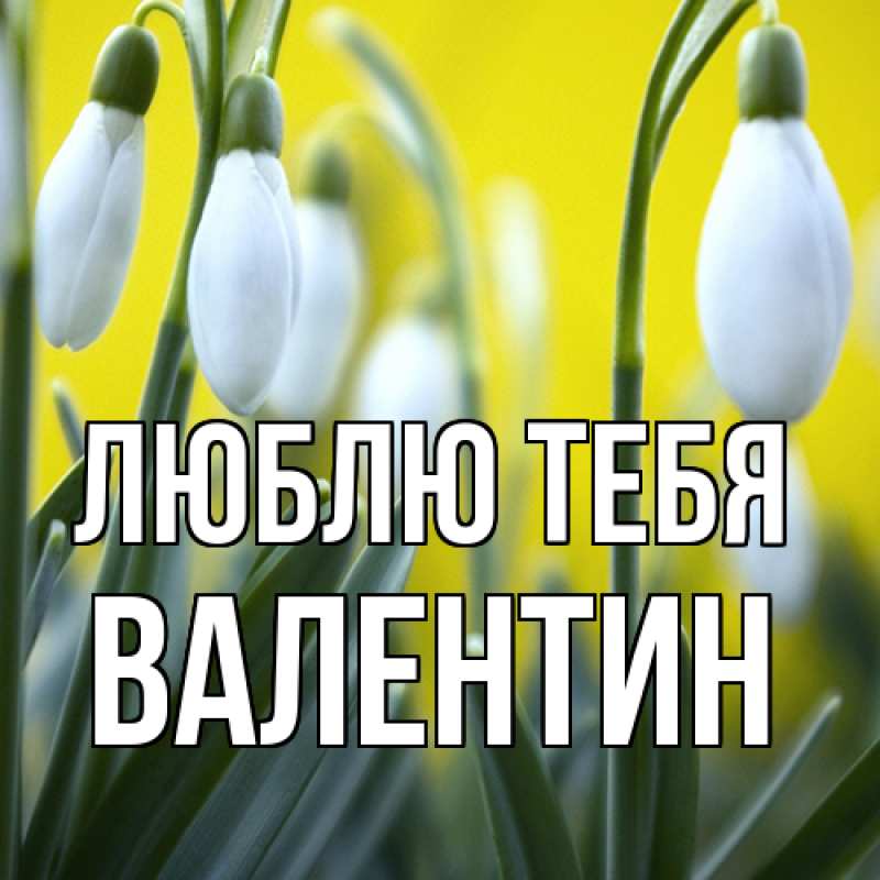 Картинка Люблю тебя, Валентин