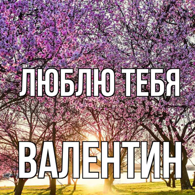 Картинка Люблю тебя, Валентин