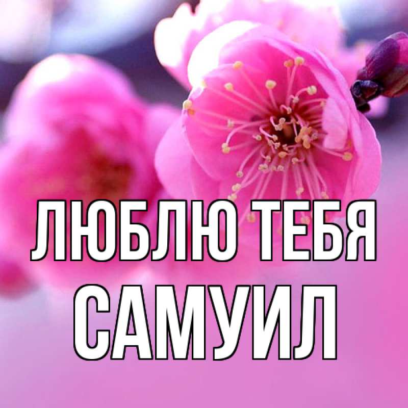 Картинка Люблю тебя, Самуил