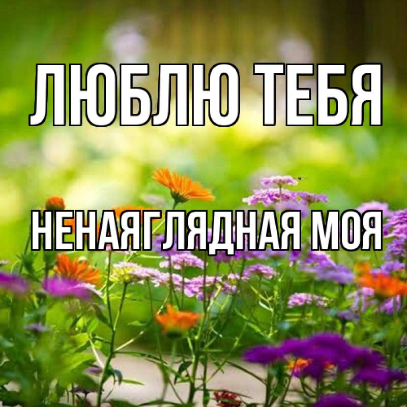 Картинка Люблю тебя, Ненаяглядная моя