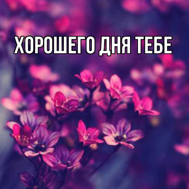 Картинка Люблю тебя, Любовь