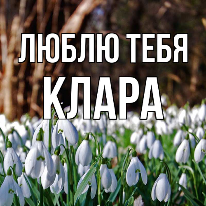 Картинка Люблю тебя, Клара