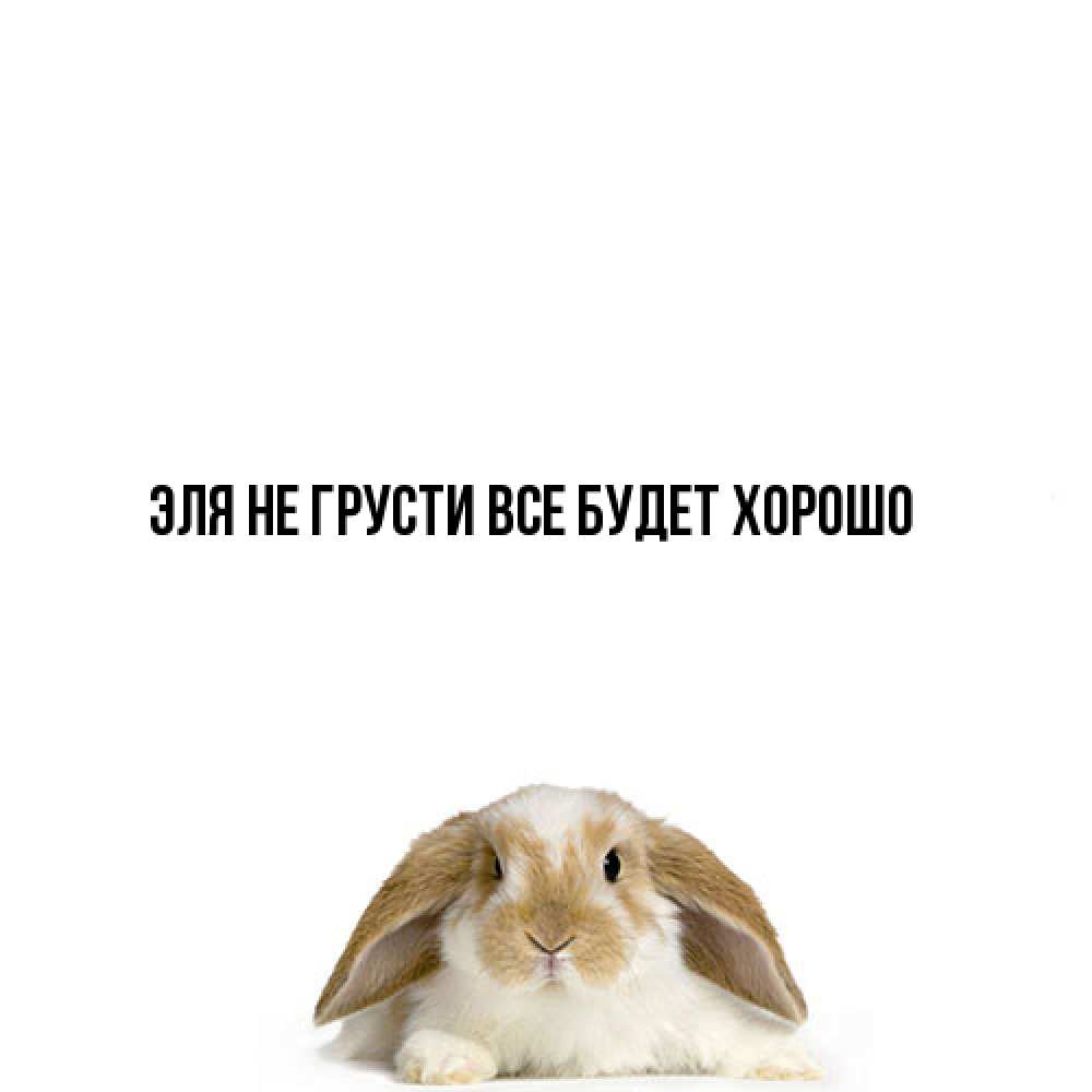 Открытка на каждый день с именем, Эля Не грусти все будет хорошо коричнево белый заяц с большими ушками Прикольная открытка с пожеланием онлайн скачать бесплатно 