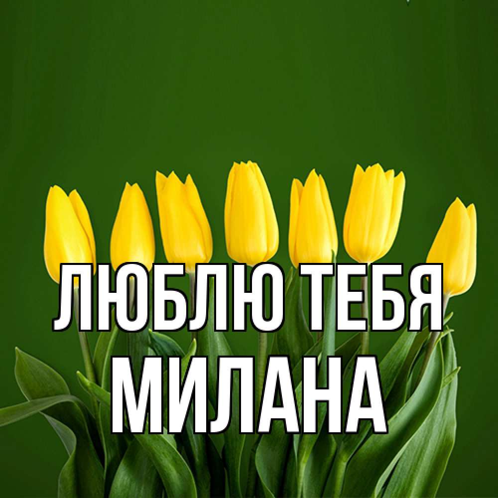 Открытка на каждый день с именем, Милана Люблю тебя желтого цвета 3 Прикольная открытка с пожеланием онлайн скачать бесплатно 