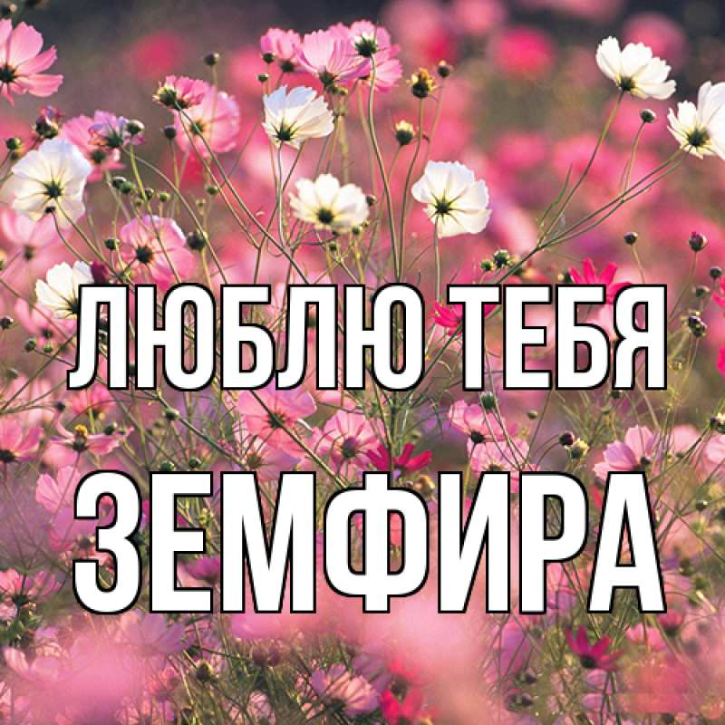 Картинка Люблю тебя, Земфира