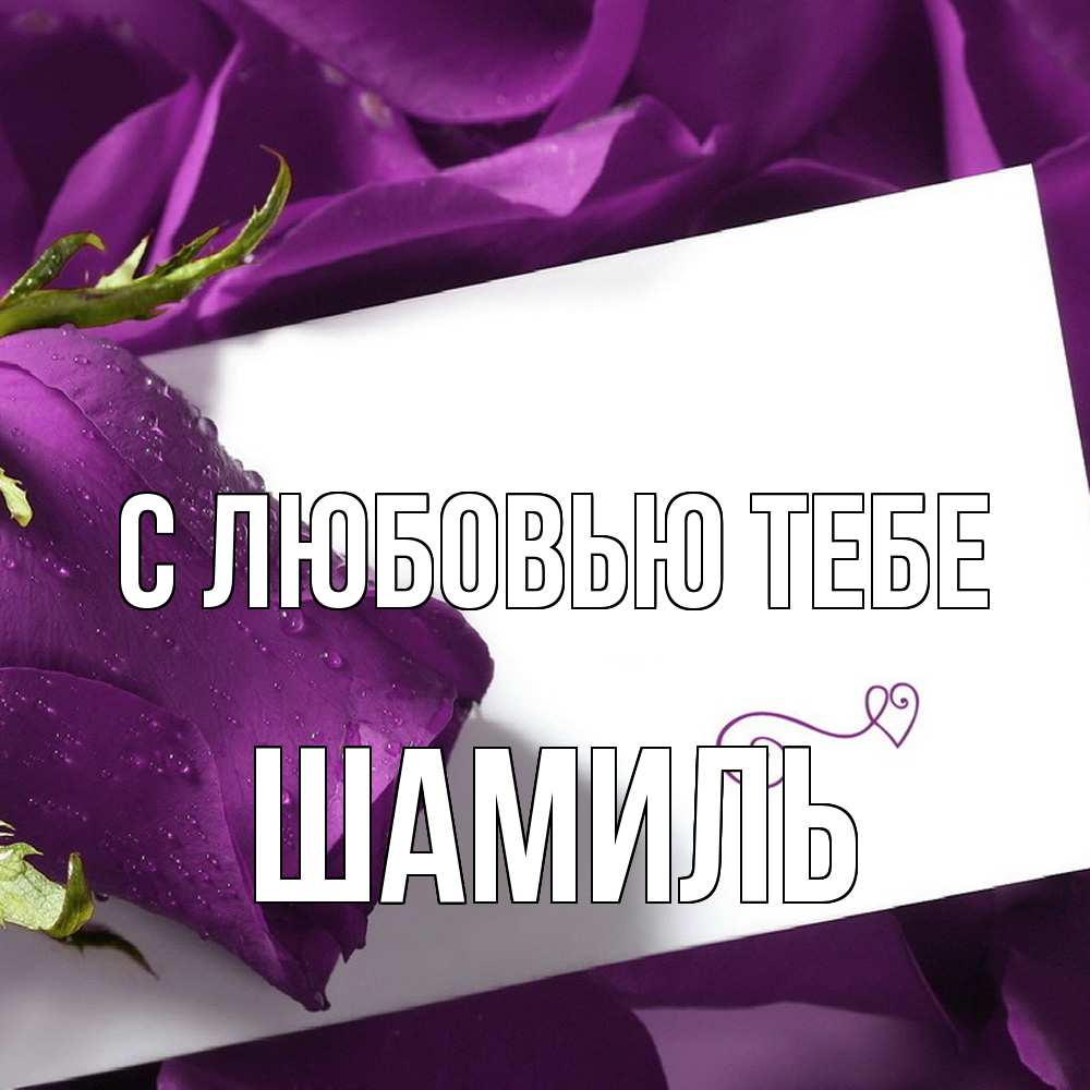 Открытка на каждый день с именем, Шамиль С любовью тебе роза Прикольная открытка с пожеланием онлайн скачать бесплатно 