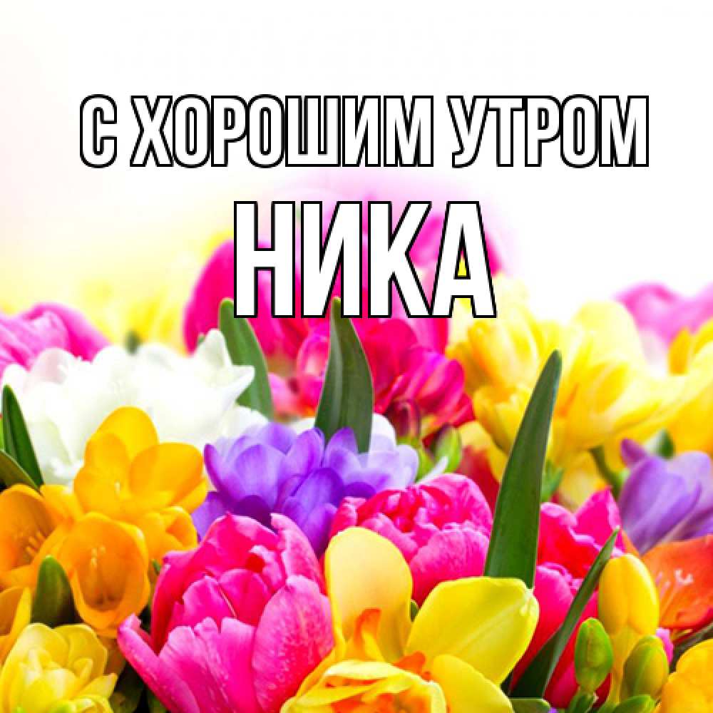 Открытка на каждый день с именем, Ника С хорошим утром создать открытку со свое подписью Прикольная открытка с пожеланием онлайн скачать бесплатно 