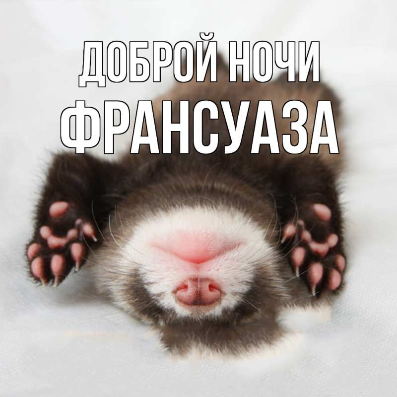 Картинка Доброй ночи, Франсуаза