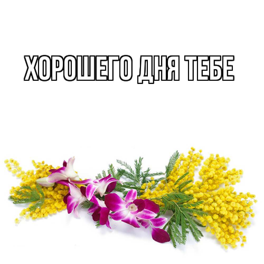 Открытка на каждый день с именем, Родной Люблю тебя открытка на международный женский день с цветами  1 Прикольная открытка с пожеланием онлайн скачать бесплатно 