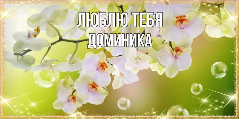 Картинка Люблю тебя, Доминика