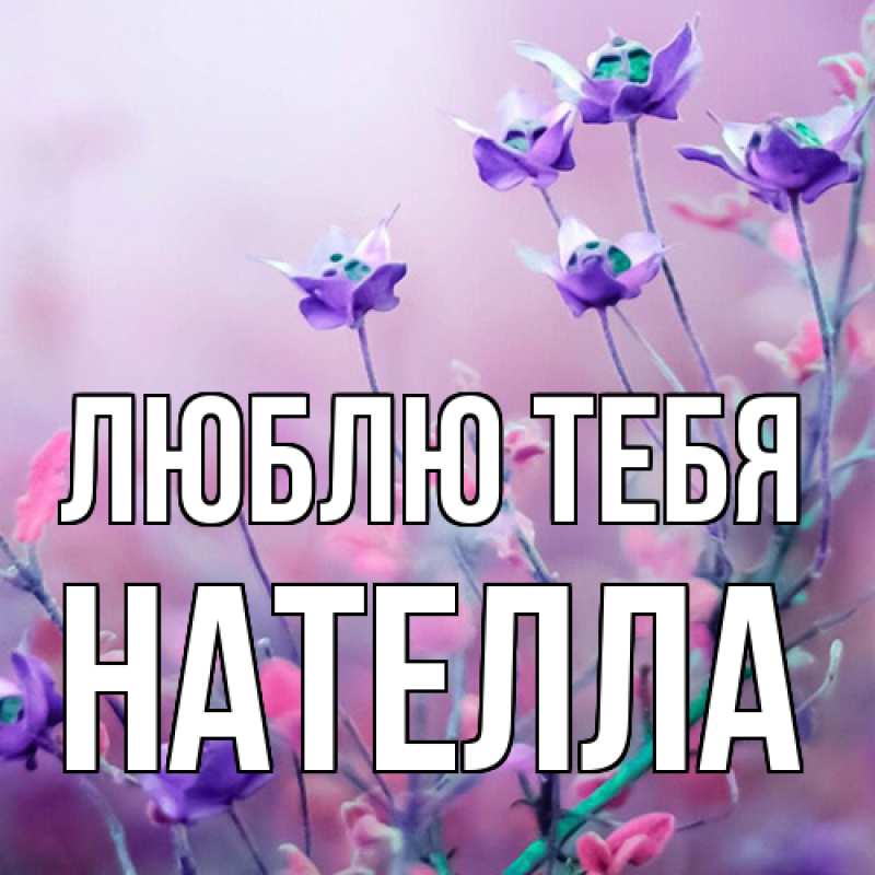 Картинка Люблю тебя, Нателла