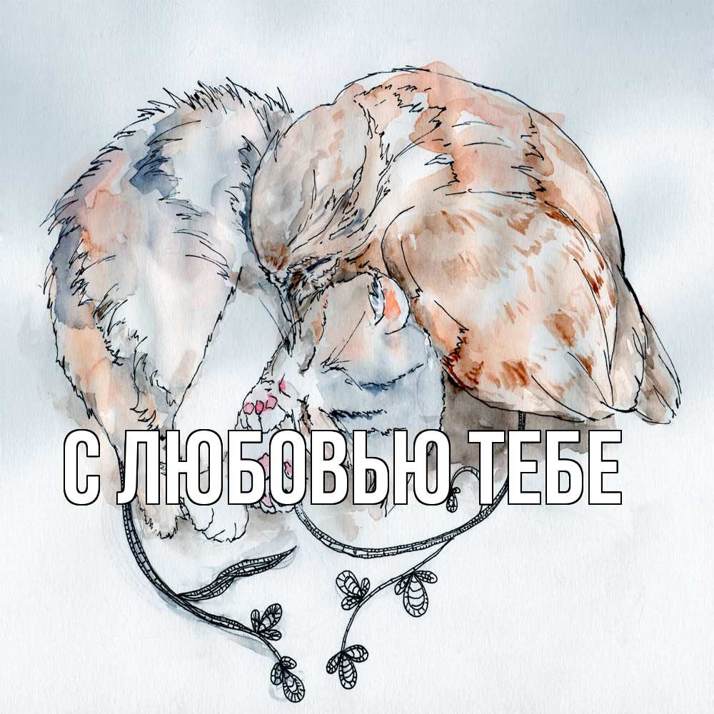 Открытка на каждый день с именем, Влад Обнимашки можно быть вместе даже когда очень разные Прикольная открытка с пожеланием онлайн скачать бесплатно 