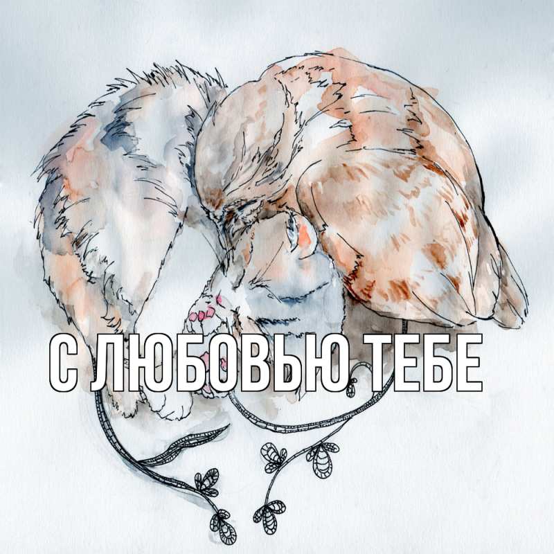 Картинка Обнимашки, Влад