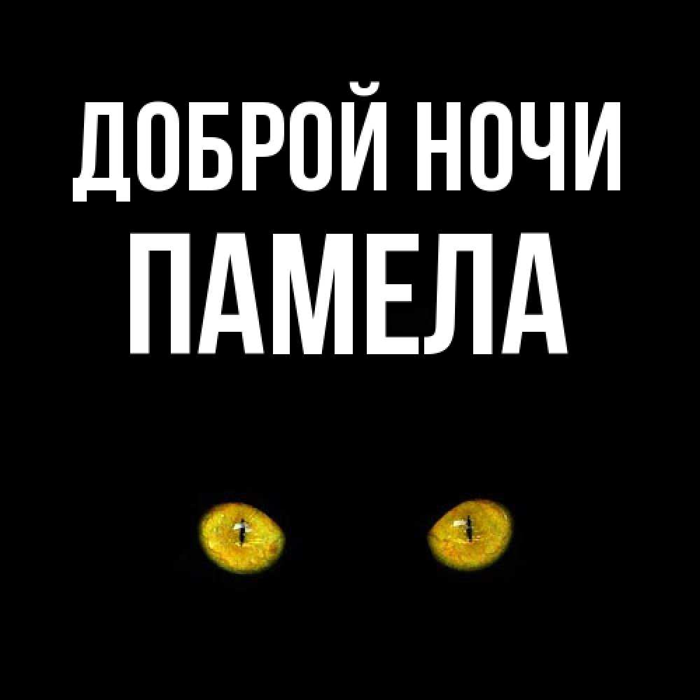 Открытка на каждый день с именем, Памела Доброй ночи сладких снов бесстрашный мой дружочек Прикольная открытка с пожеланием онлайн скачать бесплатно 