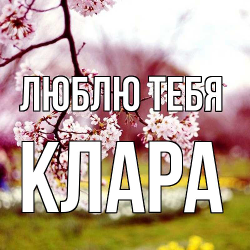 Картинка Люблю тебя, Клара