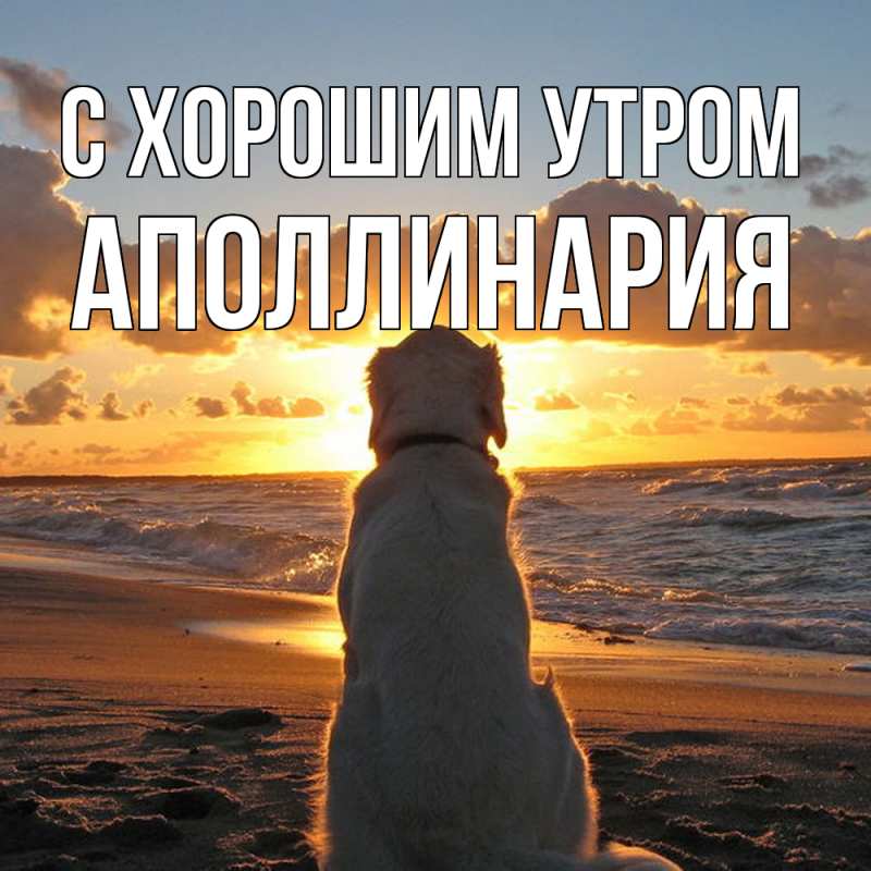 Картинка С хорошим утром, Аполлинария