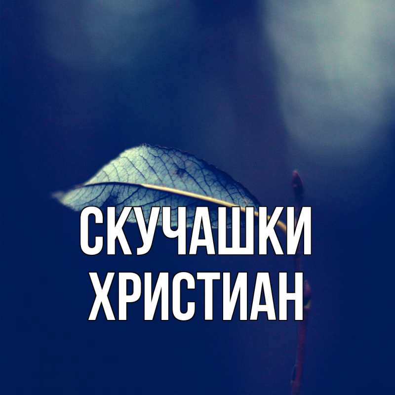 Картинка Скучашки, Христиан