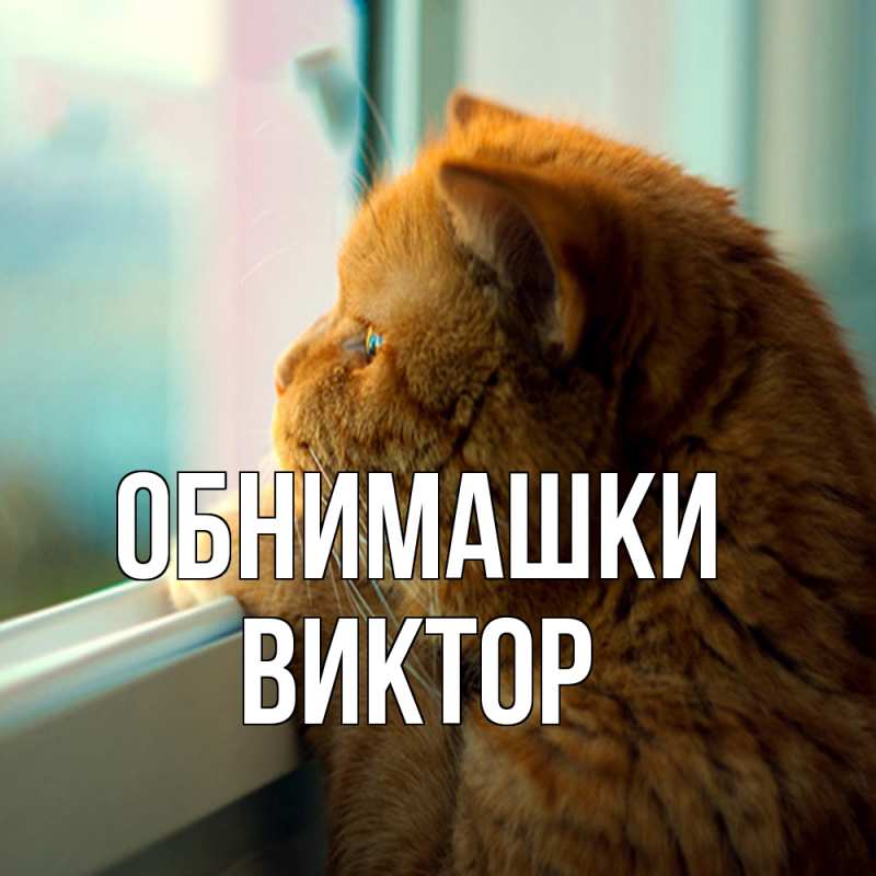 Картинка Обнимашки, Виктор