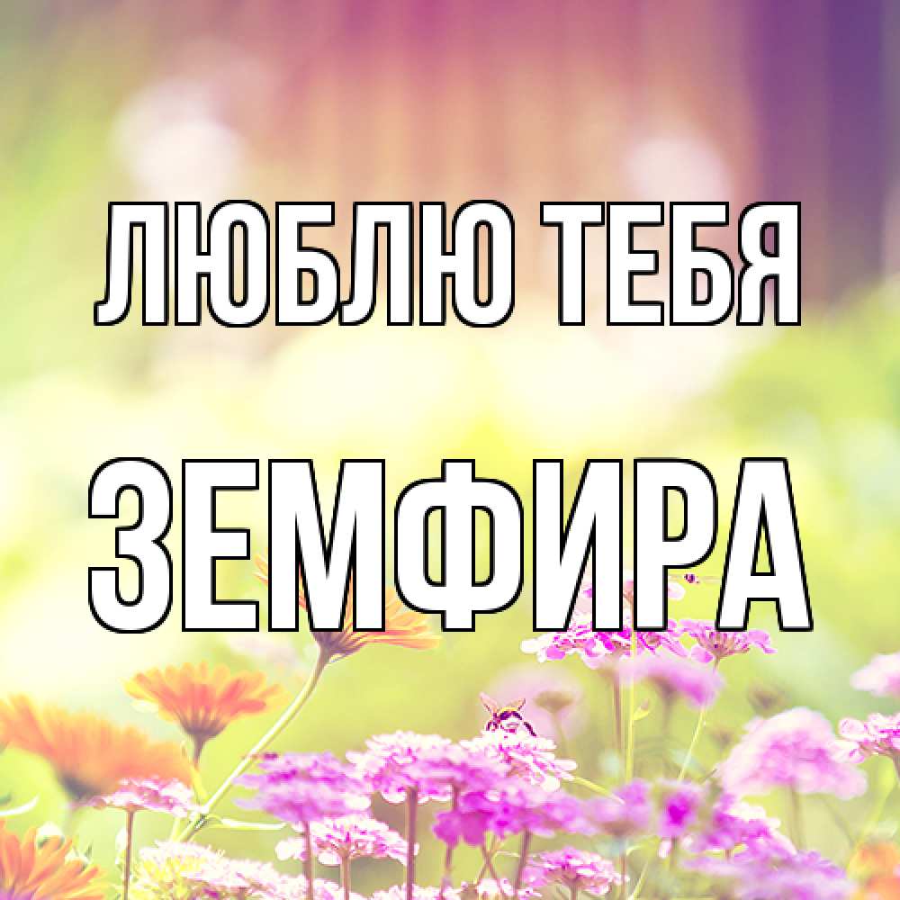 Открытка на каждый день с именем, Земфира Люблю тебя цветы весна Прикольная открытка с пожеланием онлайн скачать бесплатно 