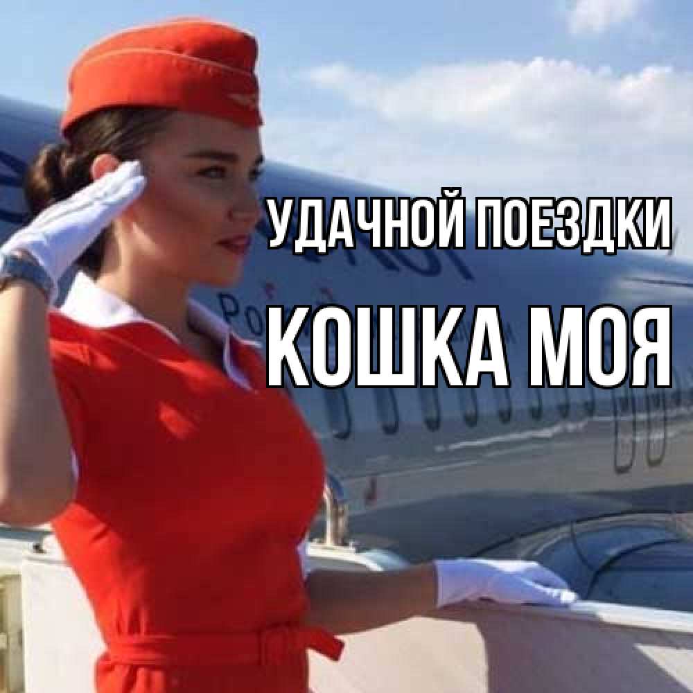 Открытка на каждый день с именем, Кошка-моя Удачной поездки чудесного полета Прикольная открытка с пожеланием онлайн скачать бесплатно 