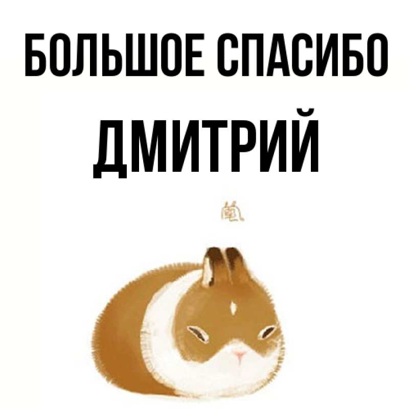 Картинка Большое спасибо, Дмитрий