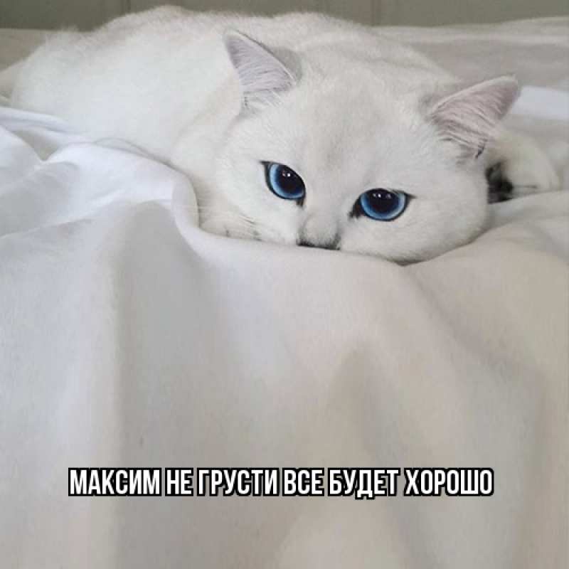 Картинка Не грусти, все будет хорошо, Максим