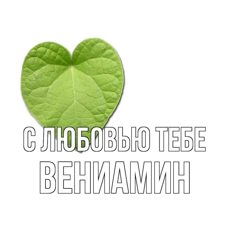 Картинка С любовью тебе, Вениамин