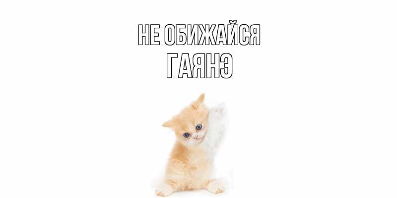 Открытка с именем, Гаянэ, Не обижайся