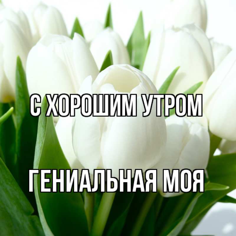 Картинка С хорошим утром, Гениальная моя