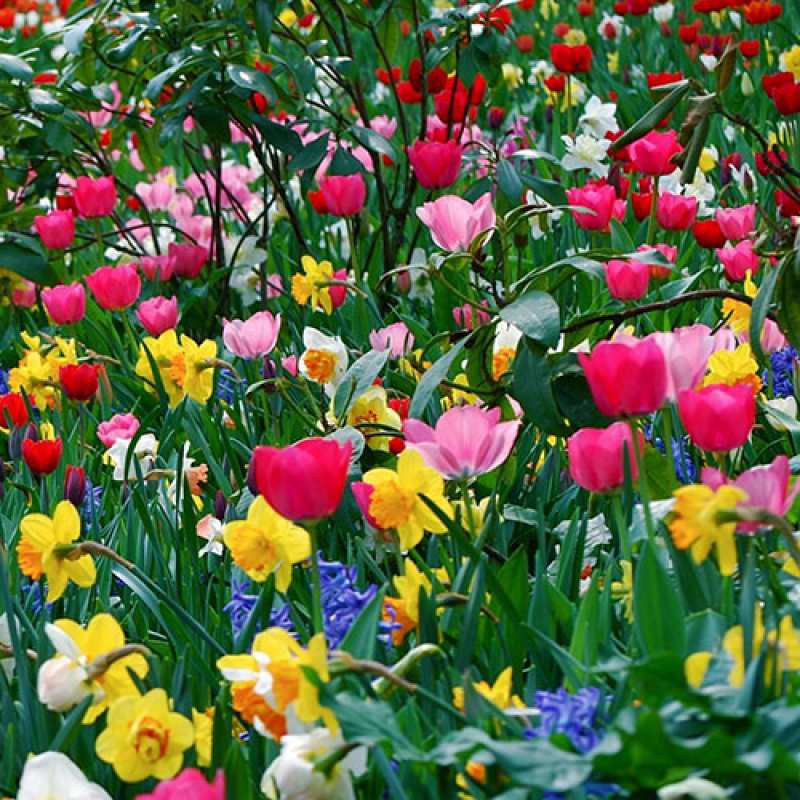 Картинка Люблю тебя, 