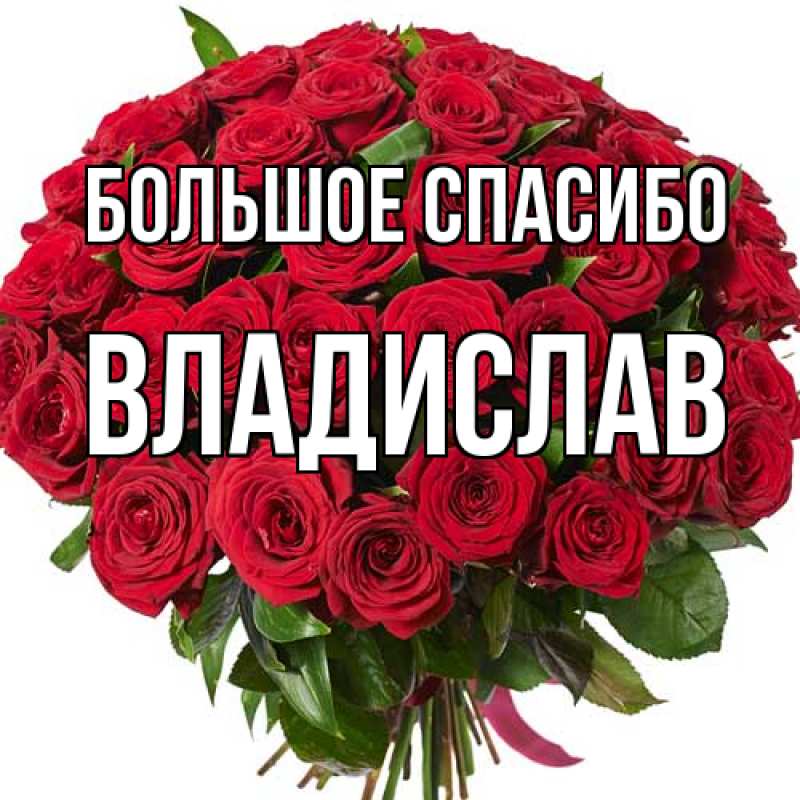 Картинка Большое спасибо, Владислав