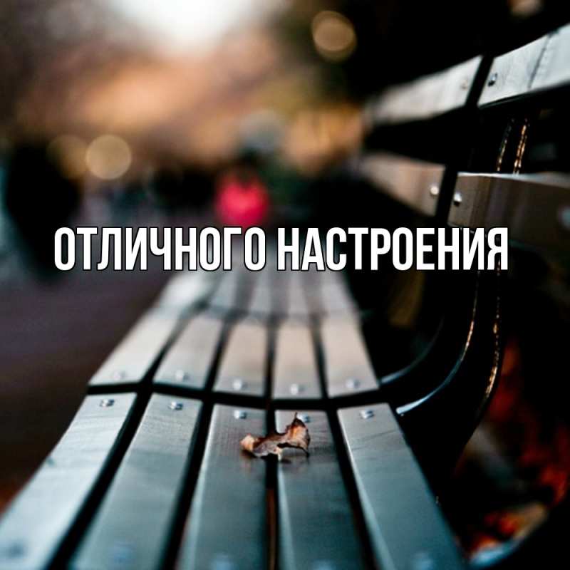 Картинка Скучашки, Песподобная