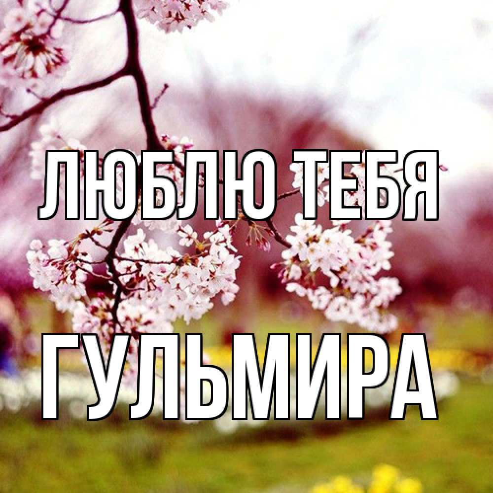 Открытка на каждый день с именем, Гульмира Люблю тебя яблоня Прикольная открытка с пожеланием онлайн скачать бесплатно 