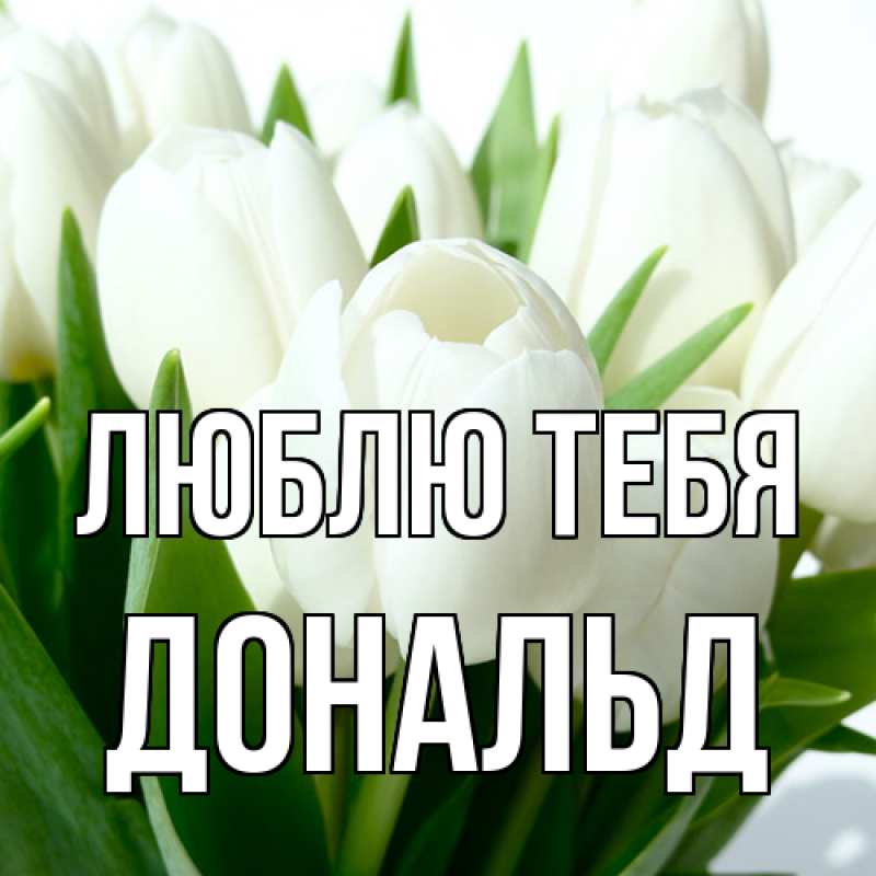 Открытка с именем, Дональд, Люблю тебя
