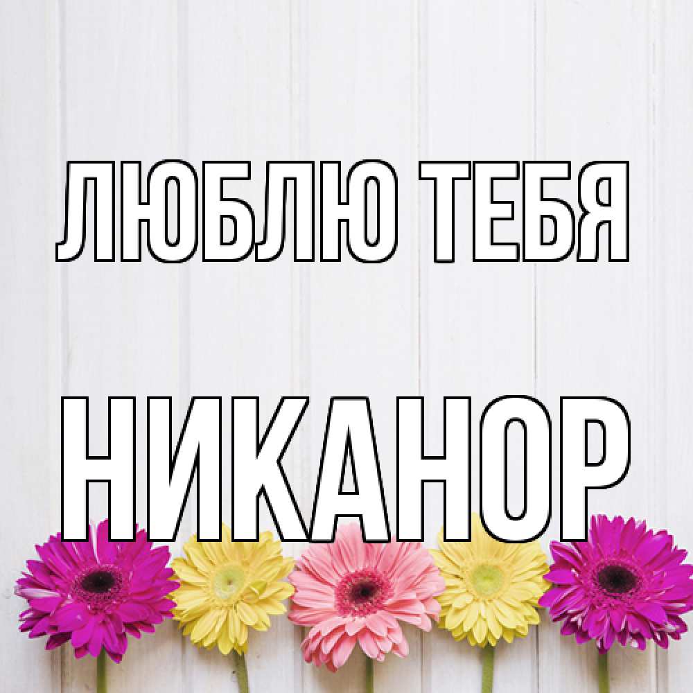 Открытка на каждый день с именем, Никанор Люблю тебя женщинам 1 Прикольная открытка с пожеланием онлайн скачать бесплатно 