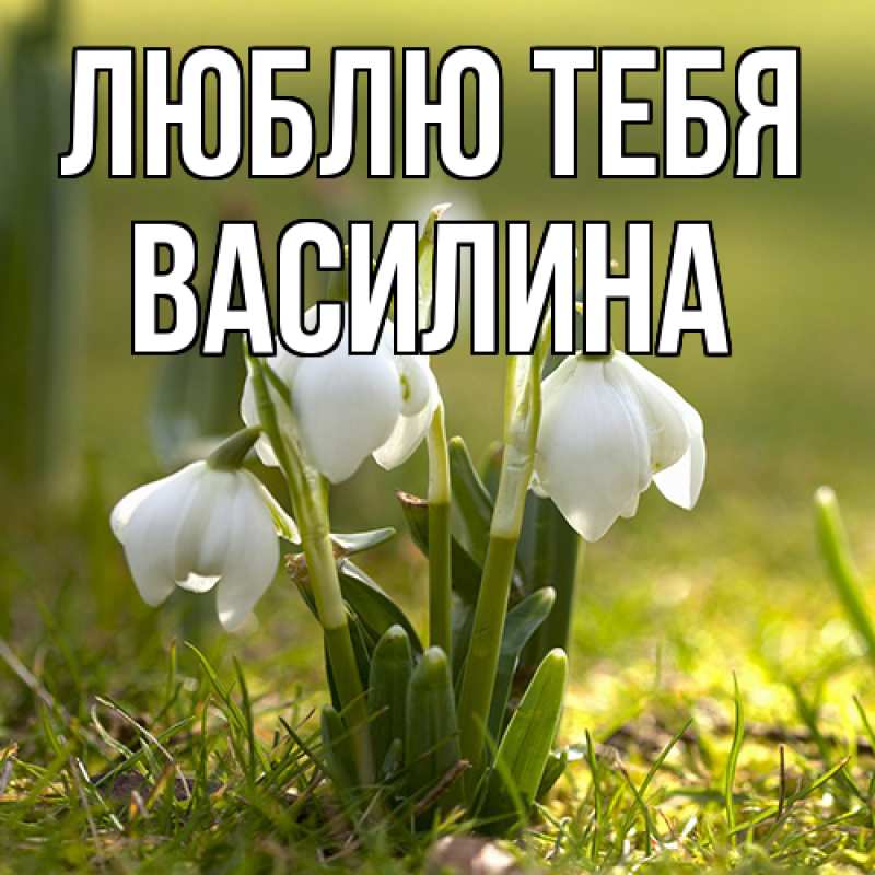 Картинка Люблю тебя, Василина