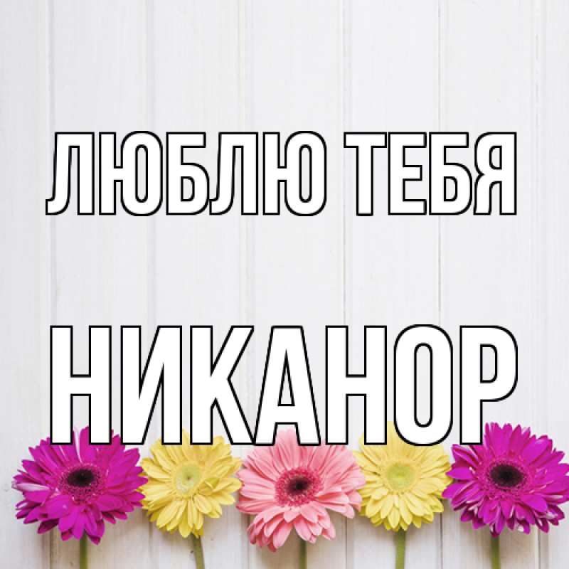 Картинка Люблю тебя, Никанор