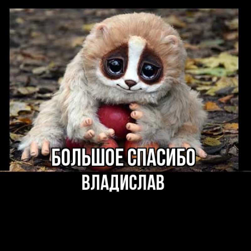 Картинка Большое спасибо, Владислав