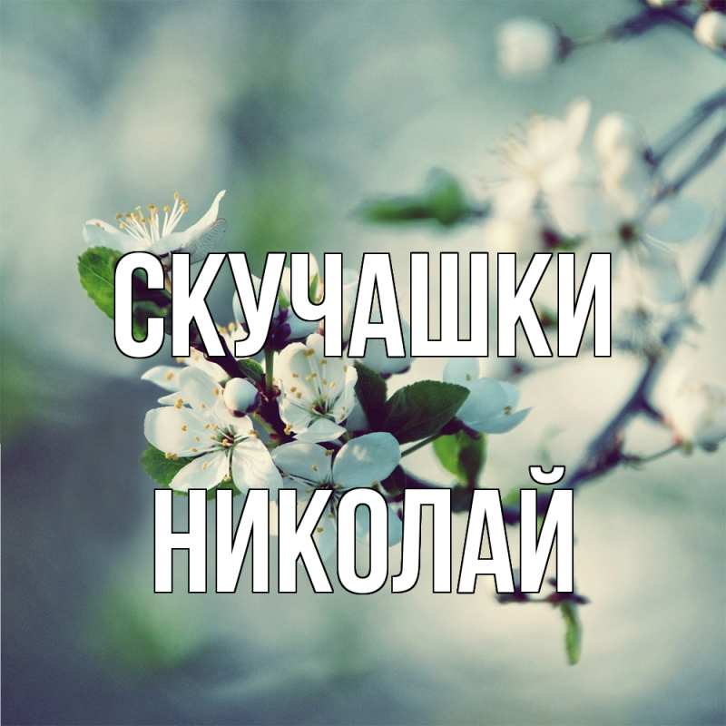 Картинка Скучашки, Николай
