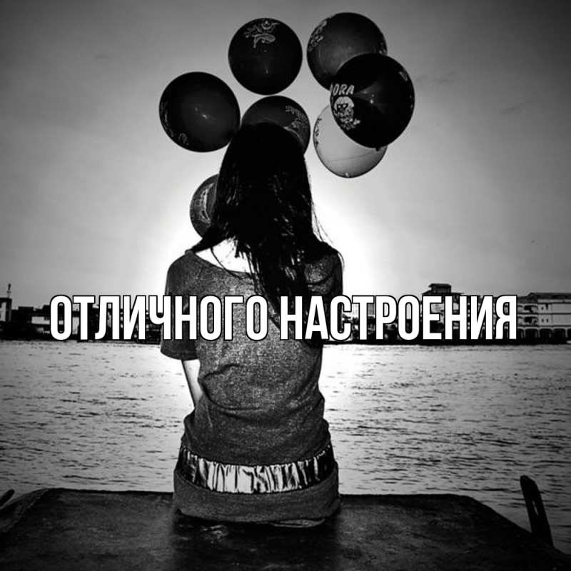 Картинка Скучашки, Песподобная