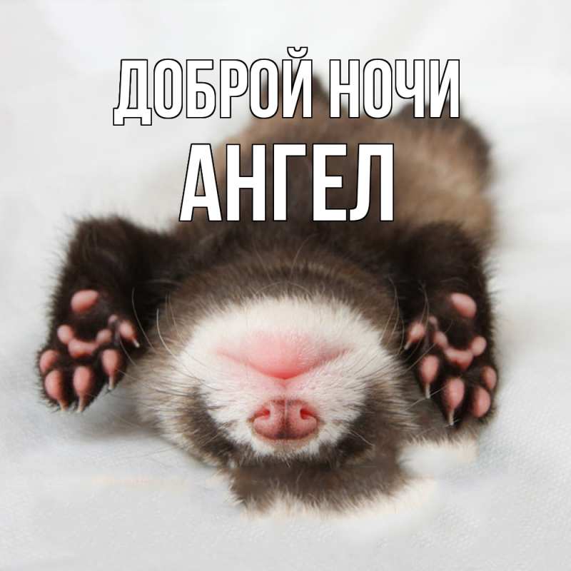 Картинка Доброй ночи, Ангел