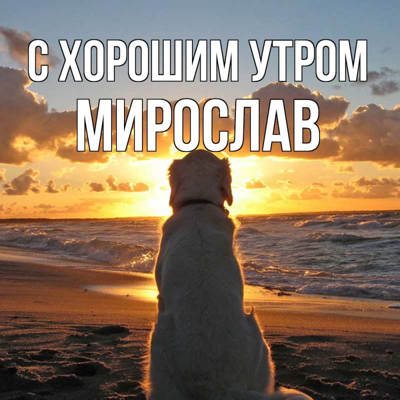 Картинка С хорошим утром, Мирослав
